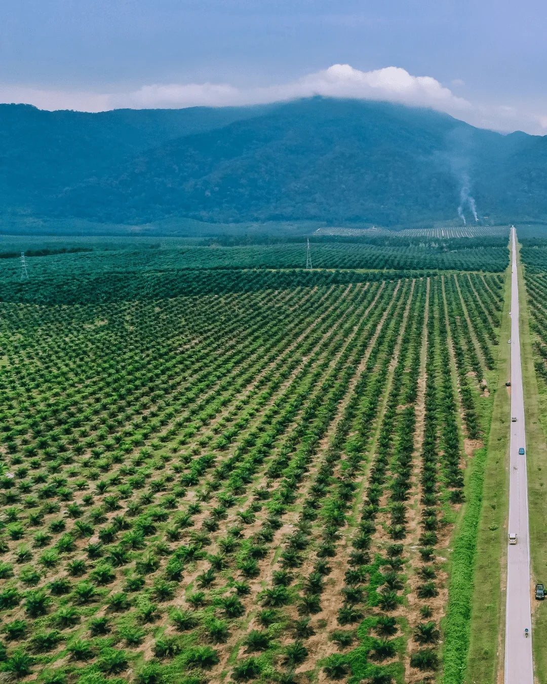 Why Skincare Needs a Circular Revolution: Sourcing Beyond Virgin Crops