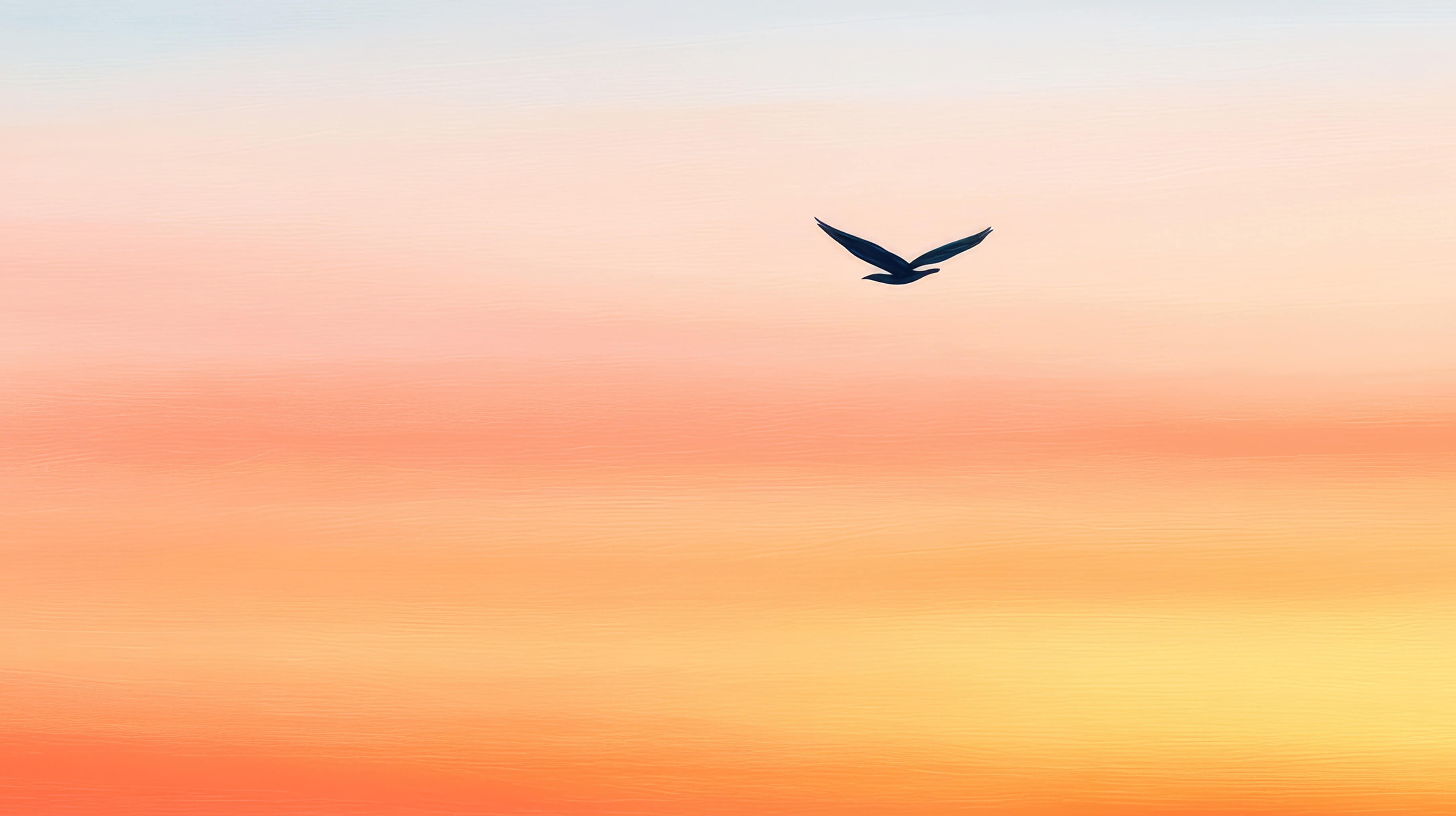 Bird silhouette against golden orange and yellow gradient sky