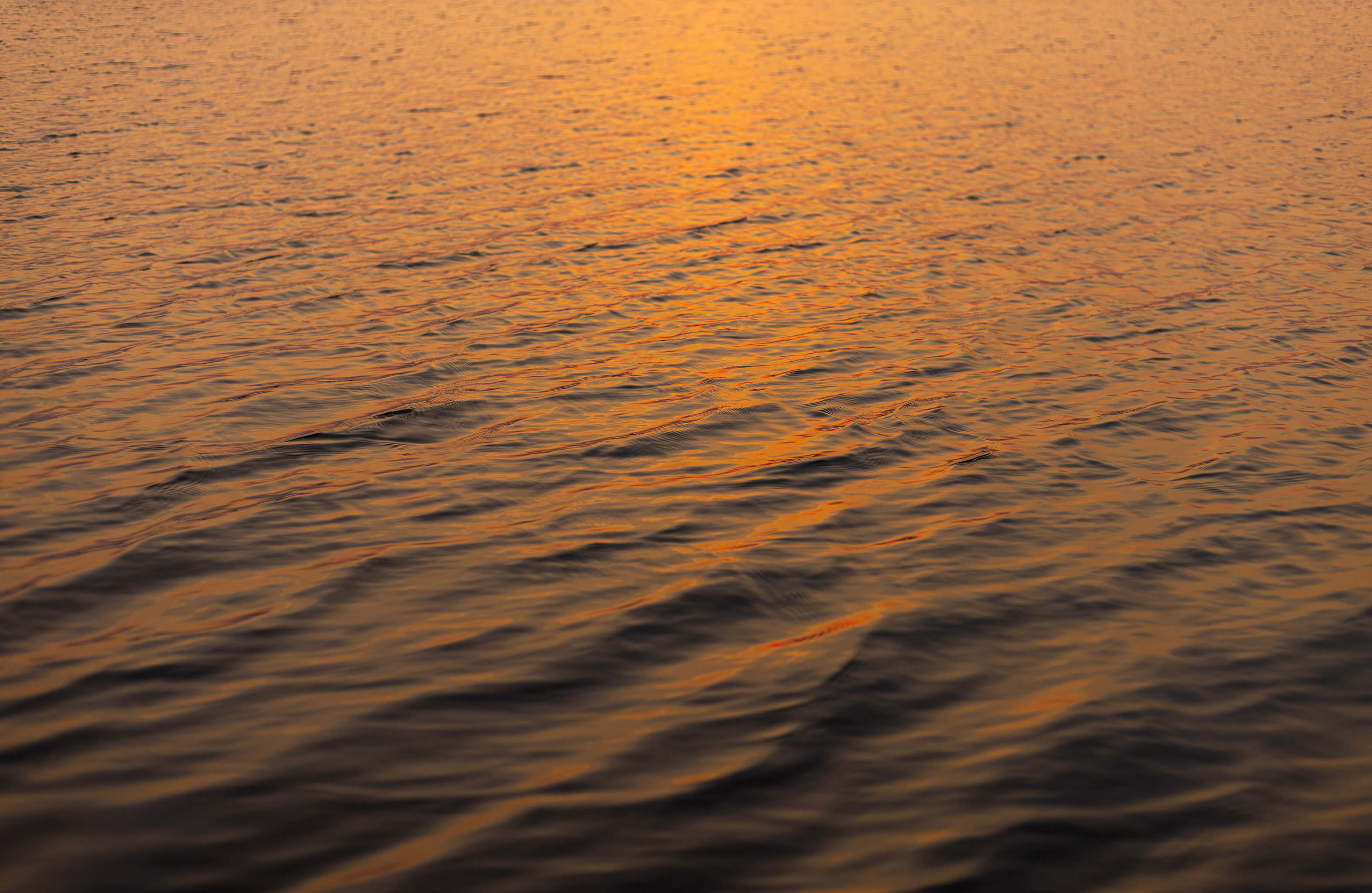 Ocean surface with soft waves illuminated by golden light