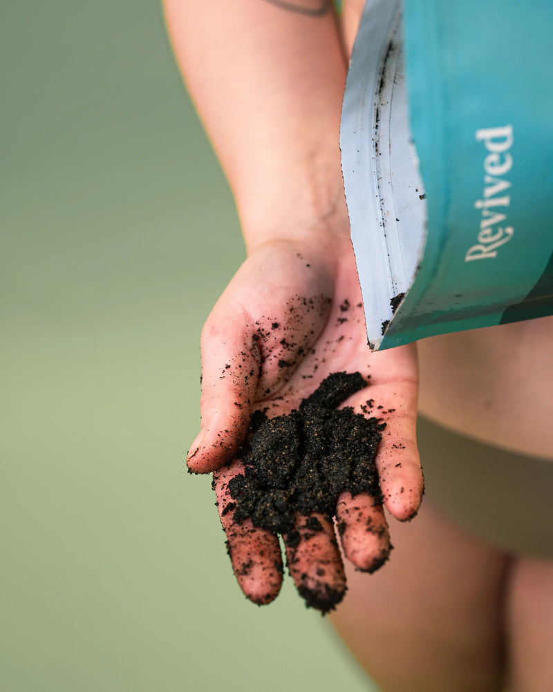 Hand holding peppermint coffee scrub in hands